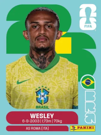 BRA 8 - Wesley - Brazil