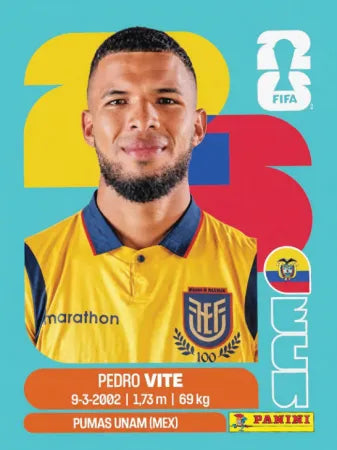 ECU 12 - Pedro Vite - Ecuador